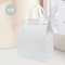 2024 Customize Non-Woven Reusable Shopping Bag Summer Cold Insulation Non-Woven Fabric Coating Waterproof and Oil Proof Bag