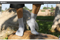 Xianghui Custom Logo Men's Merino Wool Socks Wool Blend Boot Outdoor Recycled Socks